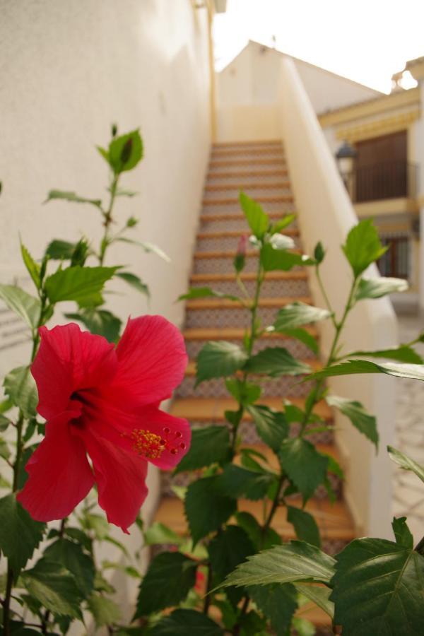 Apartamento Tropical Playas de Vera 外观 照片
